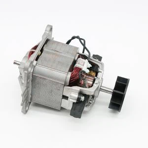 9545 AC universele motor voor ijsmachines